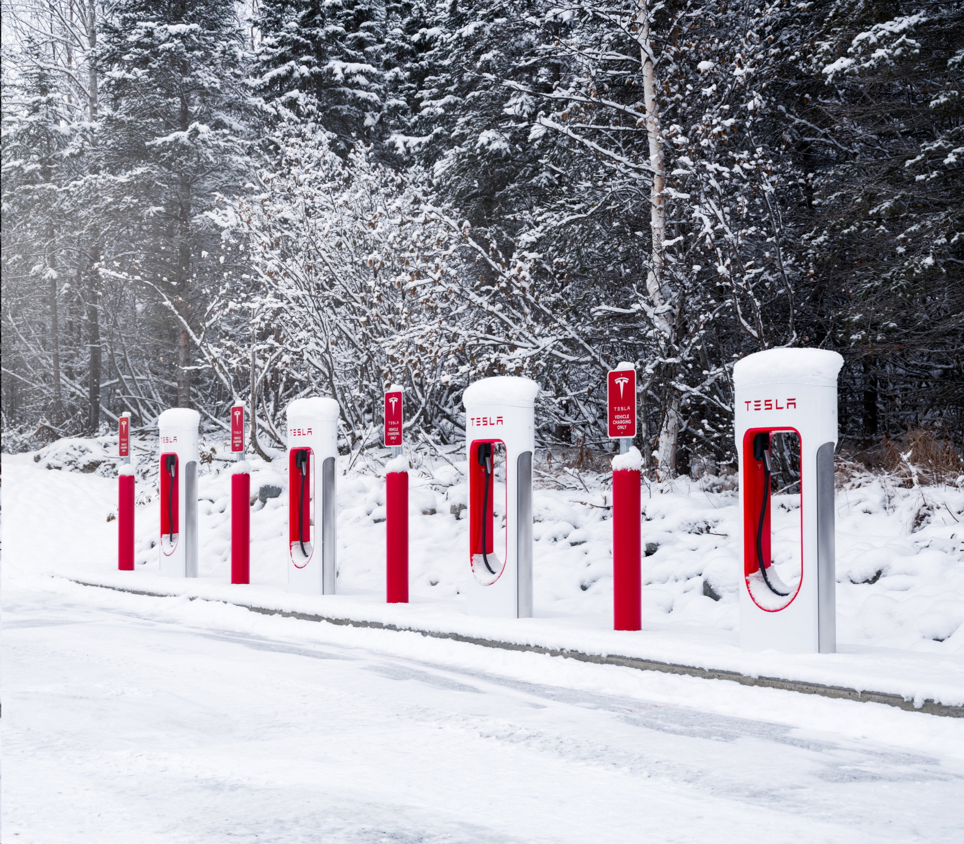 Tesla owners are competing to use super chargers like playing Pokemon Go